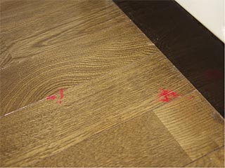 台所の流しの横の床の赤いシミ