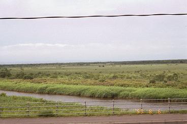 遠くに見える釧路湿原