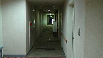 １階の中広間・会議室へ続く通路